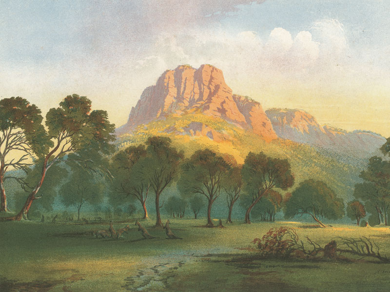 Above: Australian landscape from an 1890s reproduction of  a painting by Nicholas Chevalier (1828–1902).
