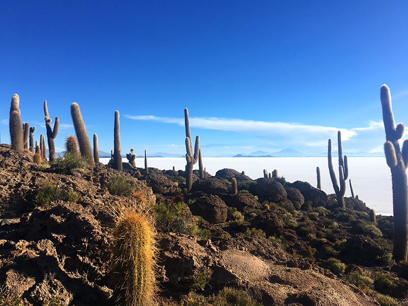 5 great places to visit in Bolivia for cultural and natural highlights